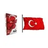 Kale 100x150 Alpaka Türk Bayrağı
