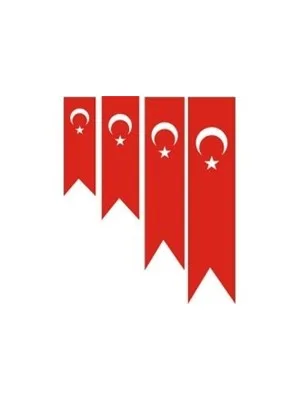 Kale 75x300 Kırlangıç Türk Bayrağı