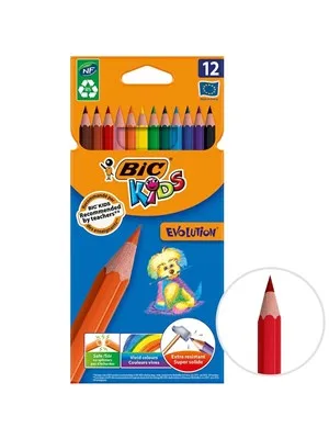 Bic Evo Silinebilir Kuruboya Kalemi 24 Lü 987869