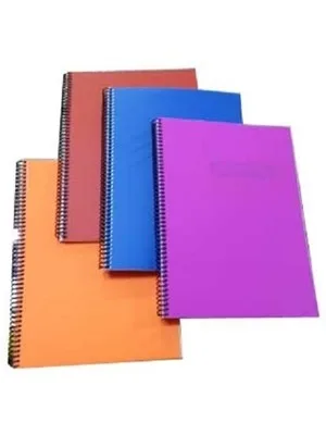 Gıpta Eko A4 Pp Kapak Spiralli Defter Kareli 60 Yp 3-4176000