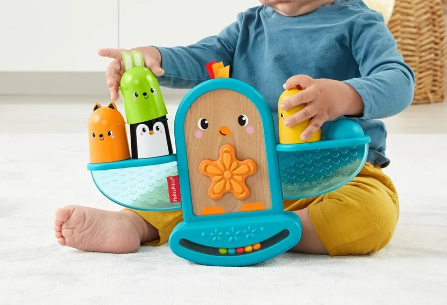 Fisher Price Eğlenceli Kuş Gjw26