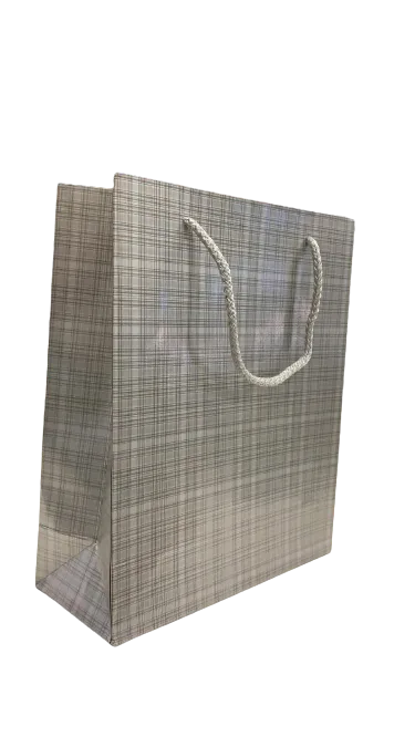 Nedi 21x26x9 Cm İp Saplı Selofanlı Karton Çanta Gümüş 11948