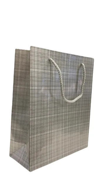 Nedi 21x26x9 Cm İp Saplı Selofanlı Karton Çanta Gümüş 11948