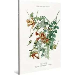 Gıpta Vıntage 19x26 Cm Dikişli Karton Kapak Defter Kareli 60 Yp 3-4449000-2011