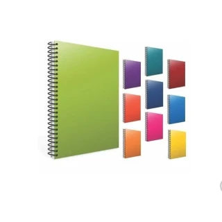 Gıpta Eko A4 Pp Kapak Spiralli Defter Çizgili 100 Yp 2032