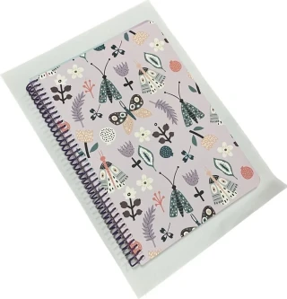 Lizy 17x24 Karton Kapak Spiralli İçi Renkli Çizgili Defter 100yp Sprb5