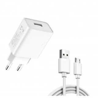 Compaxe Cta-521mu 5v 2.1a 10w 1 Metre Micro Usb Şarj Aleti
