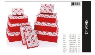 Gıpta Regalo Dikdörtgen Hediye Kutusu No:10 Bx2308