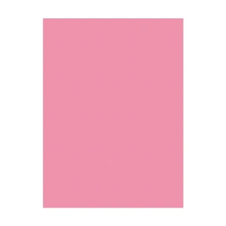 Herboy A4 160 Gr Fon Kartonu No:19 Pembe Hrb-3006