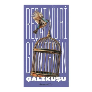Çalıkuşu - İnkılap Yayınları