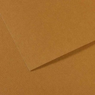 Canson Fon Kart.50x65 160 Gr 336