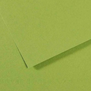 Canson Fon Kart.50x65 160 Gr 475