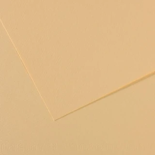 Canson Fon Kart.50x65 165 Gr 407