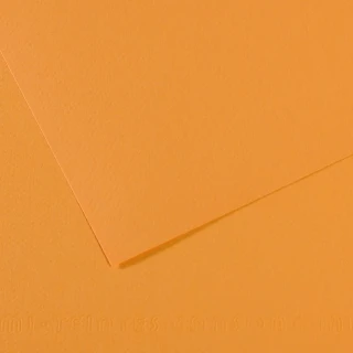 Canson Fon Kart.50x65 160 Gr 374