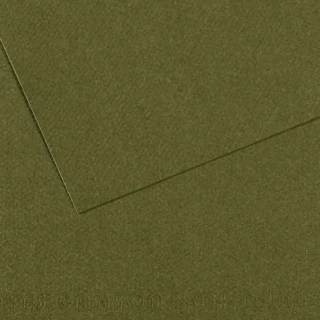 Canson Fon Kart.50x65 165 Gr 448