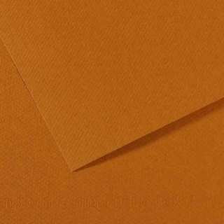 Canson 50x65 160 Gr Fon Kartonu Havane Clair 502