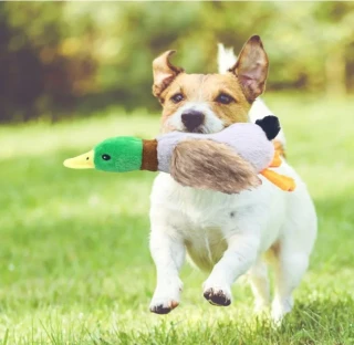 Sesli Ördek Şekilli Peluş Köpek Oyuncağı