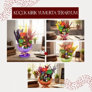 Küçük Kırık Yumurta Teraryum - Öğretmenler Günü Hediyesi