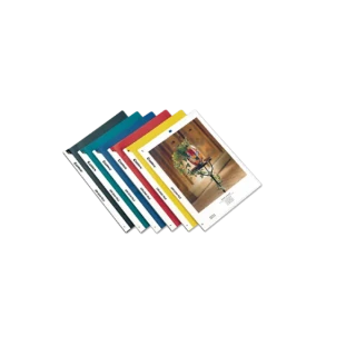 Comix A4 Sıkıştırmalı Dosya Qw324a Şeffaf