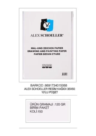 Alex Schoeller 35x50 120 Gr Resim Kağıdı 100"lü Alx-5013