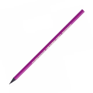Bic Miss Evo Kurşun Kalem 901737
