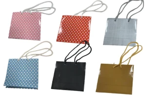 Nedi 10x10 Cm İp Saplı Selefonlu Karton Çanta 00125