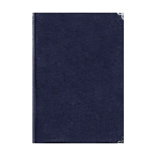 Lizy 17x24 Çizgili Günlük Ajanda S.deri Aj927 (2026)