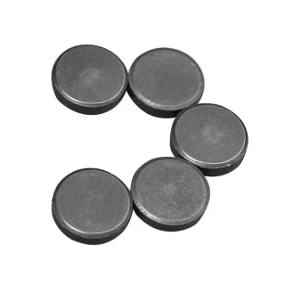 Nurgün 20 Mm Para Mıknatıs