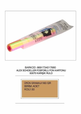 Alex Schoeller 50x70 Fon Kartonu 160 Gr 10"lu Fosforlu Karışık Renk 011.62