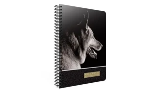 Gıpta Wıld 19x26 Sert Kapak Spiralli Defter Çizgili 120\1 3297