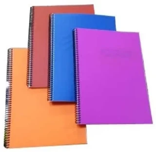 Gıpta Eko A4 Pp Kapak Spiralli Defter Kareli 100 Yp 3-2033000